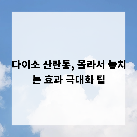 다이소 산란통, 몰라서 놓치는 효과 극대화 팁