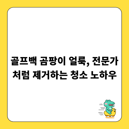 골프백 곰팡이 얼룩, 전문가처럼 제거하는 청소 노하우
