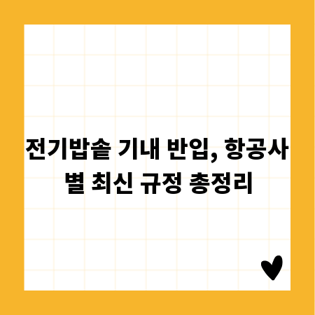전기밥솥 기내 반입, 항공사별 최신 규정 총정리
