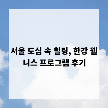 서울 도심 속 힐링, 한강 웰니스 프로그램 후기