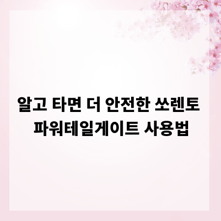 알고 타면 더 안전한 쏘렌토 파워테일게이트 사용법