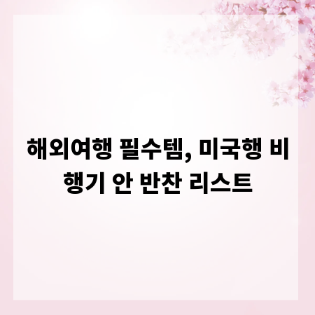 해외여행 필수템, 미국행 비행기 안 반찬 리스트