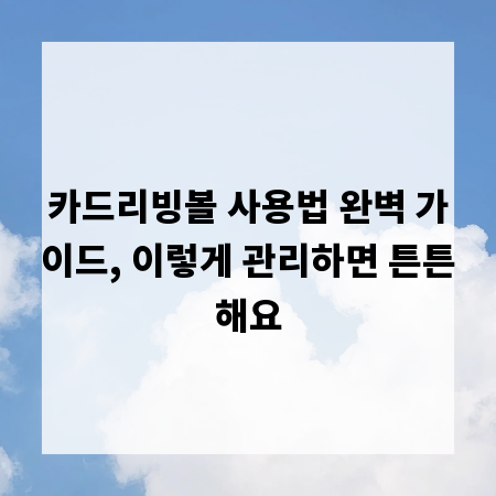 카드리빙볼 사용법 완벽 가이드, 이렇게 관리하면 튼튼해요