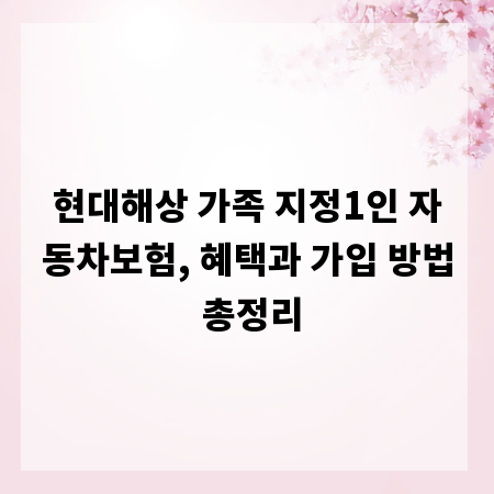 현대해상 가족 지정1인 자동차보험, 혜택과 가입 방법 총정리
