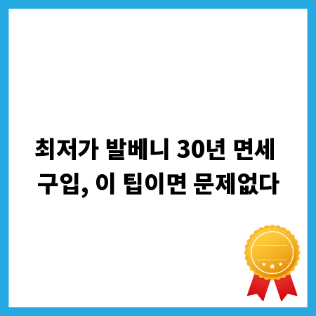 최저가 발베니 30년 면세 구입, 이 팁이면 문제없다