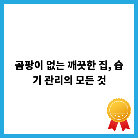 곰팡이 없는 깨끗한 집, 습기 관리의 모든 것