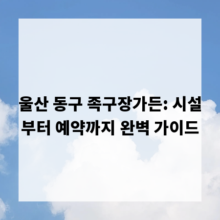 울산 동구 족구장가든: 시설부터 예약까지 완벽 가이드