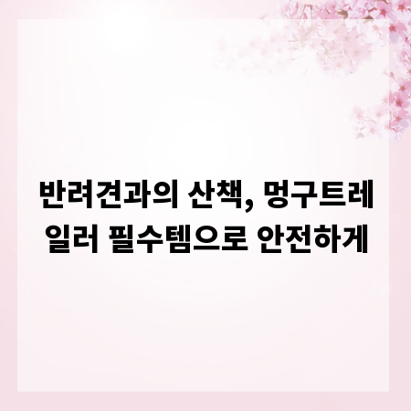 반려견과의 산책, 멍구트레일러 필수템으로 안전하게