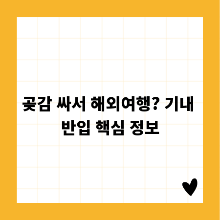 곶감 싸서 해외여행? 기내 반입 핵심 정보