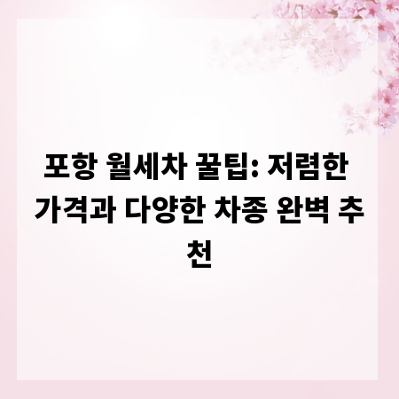 포항 월세차 꿀팁: 저렴한 가격과 다양한 차종 완벽 추천