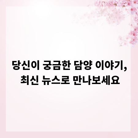 당신이 궁금한 담양 이야기, 최신 뉴스로 만나보세요