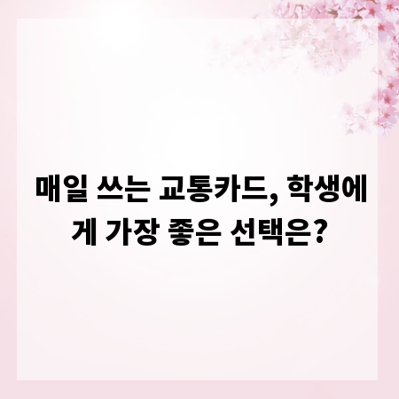 매일 쓰는 교통카드, 학생에게 가장 좋은 선택은?
