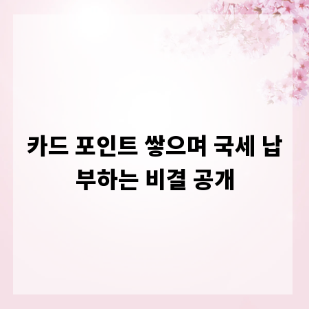 카드 포인트 쌓으며 국세 납부하는 비결 공개