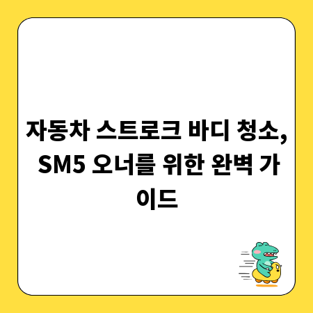 자동차 스트로크 바디 청소, SM5 오너를 위한 완벽 가이드