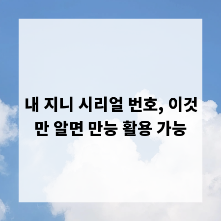 내 지니 시리얼 번호, 이것만 알면 만능 활용 가능