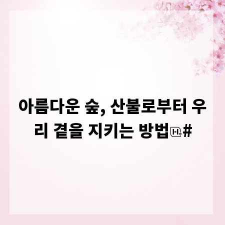 아름다운 숲, 산불로부터 우리 곁을 지키는 방법
#