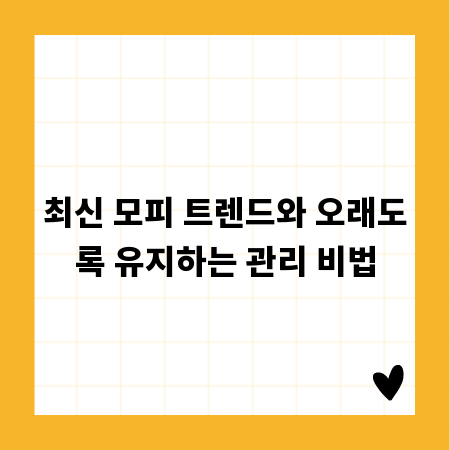 최신 모피 트렌드와 오래도록 유지하는 관리 비법