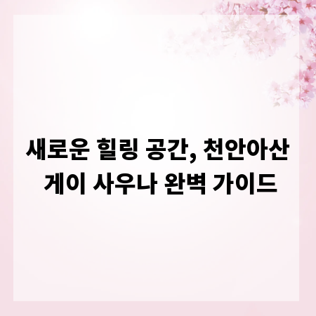 새로운 힐링 공간, 천안아산 게이 사우나 완벽 가이드