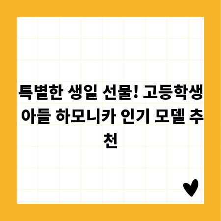 특별한 생일 선물! 고등학생 아들 하모니카 인기 모델 추천
