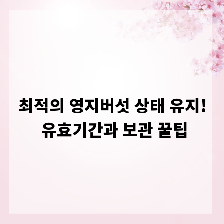 최적의 영지버섯 상태 유지! 유효기간과 보관 꿀팁