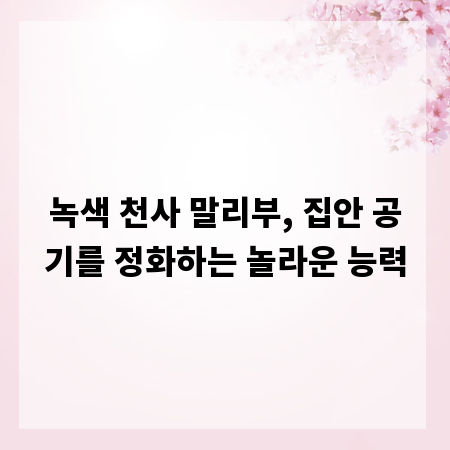 녹색 천사 말리부, 집안 공기를 정화하는 놀라운 능력