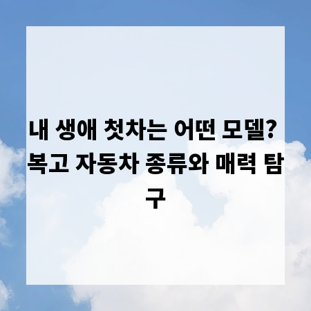 내 생애 첫차는 어떤 모델? 복고 자동차 종류와 매력 탐구