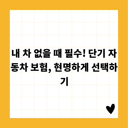 내 차 없을 때 필수! 단기 자동차 보험, 현명하게 선택하기