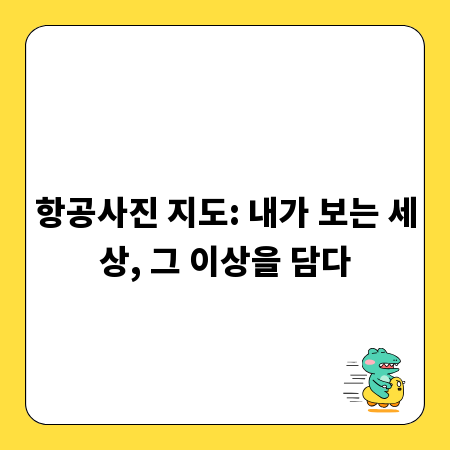 항공사진 지도: 내가 보는 세상, 그 이상을 담다