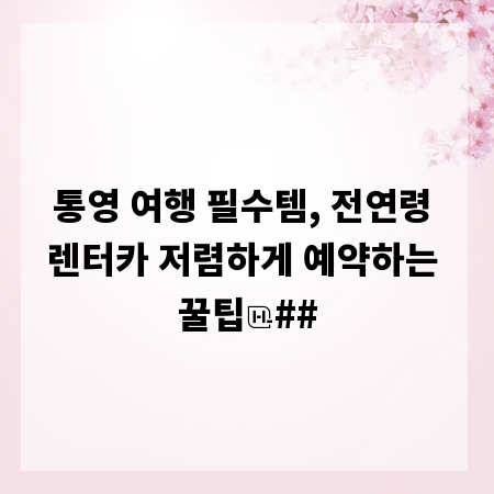 통영 여행 필수템, 전연령 렌터카 저렴하게 예약하는 꿀팁
##