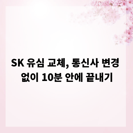 SK 유심 교체, 통신사 변경 없이 10분 안에 끝내기