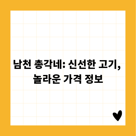 남천 총각네: 신선한 고기, 놀라운 가격 정보