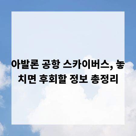 아발론 공항 스카이버스, 놓치면 후회할 정보 총정리