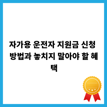 자가용 운전자 지원금 신청 방법과 놓치지 말아야 할 혜택